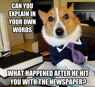 Lawyer Dog
