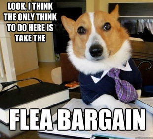 Lawyer Dog