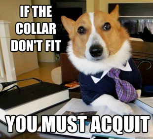 Lawyer Dog