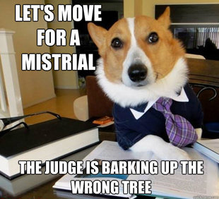 Lawyer Dog