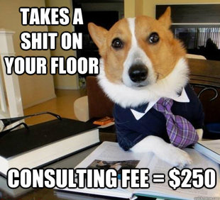 Lawyer Dog
