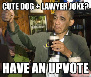 Approving Obama