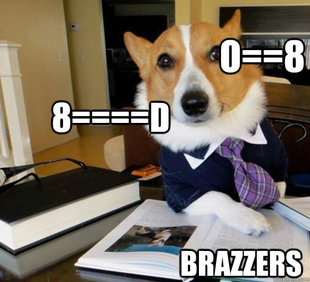 Lawyer Dog