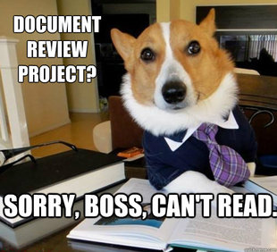 Lawyer Dog