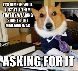 Lawyer Dog
