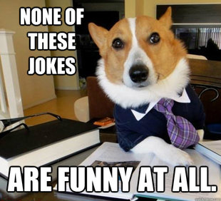 Lawyer Dog
