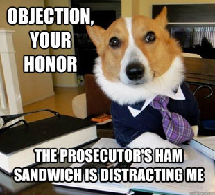 Lawyer Dog
