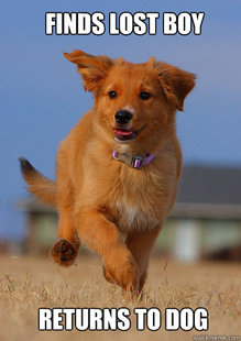 Ridiculously Photogenic Puppy