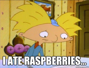 Hey Arnold Problems