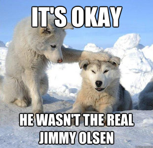 Caring Husky
