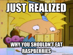 Hey Arnold Problems