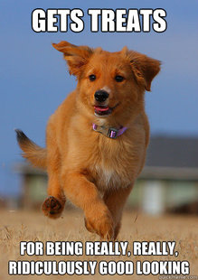 Ridiculously Photogenic Puppy