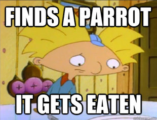 Hey Arnold Problems