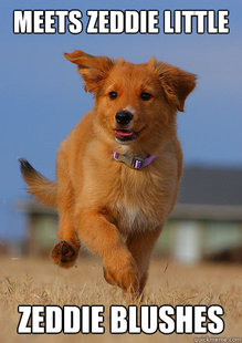 Ridiculously Photogenic Puppy