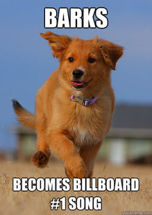 Ridiculously Photogenic Puppy