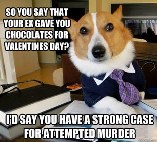 Lawyer Dog