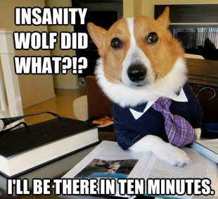 Lawyer Dog