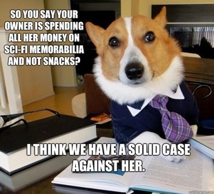 Lawyer Dog