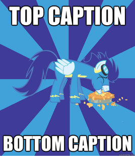 Foal Bachelor Brony