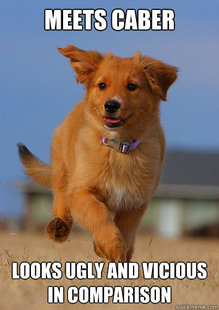Ridiculously Photogenic Puppy