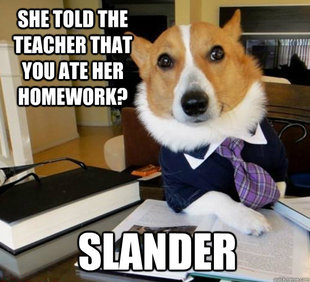 Lawyer Dog