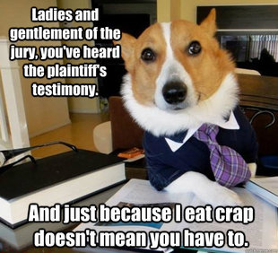 Lawyer Dog