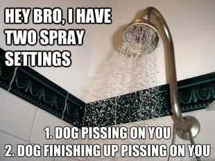 scumbag shower