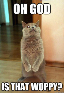 Horrorcat