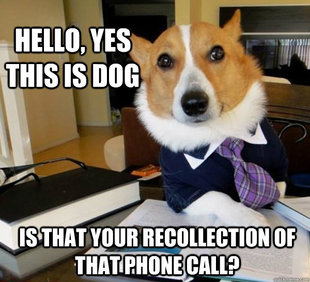 Lawyer Dog