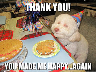 Stoned Birthday Dog
