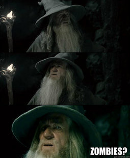 Confused Gandalf