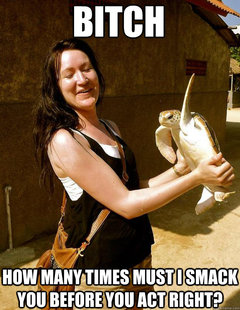Domestic Violence Turtle