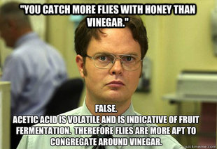 Schrute