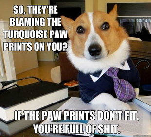 Lawyer Dog