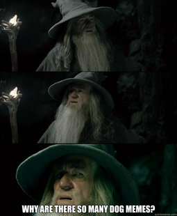 Confused Gandalf
