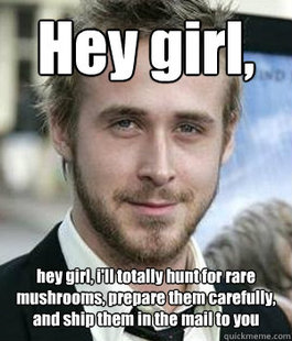 Ryan gosling