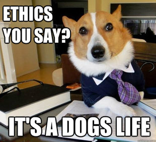 Lawyer Dog