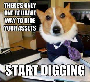 Lawyer Dog