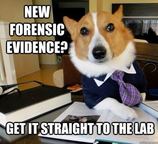 Lawyer Dog