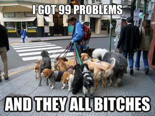 Frustrated Dog Walker