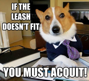 Lawyer Dog