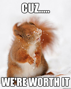 cover squirrel
