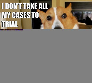 Lawyer Dog