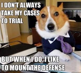 Lawyer Dog
