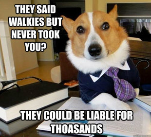 Lawyer Dog
