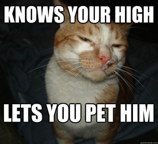 Cool Cat Craig