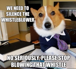 Lawyer Dog