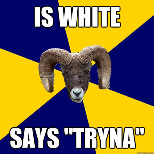 Suffolk Kid Ram