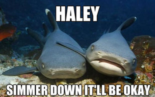 Compassionate Shark Friend