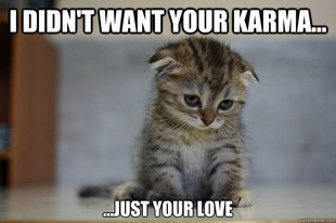 Sad Kitten